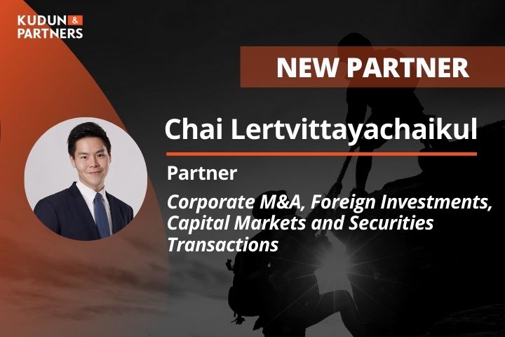 Corporate and M&A chai partner