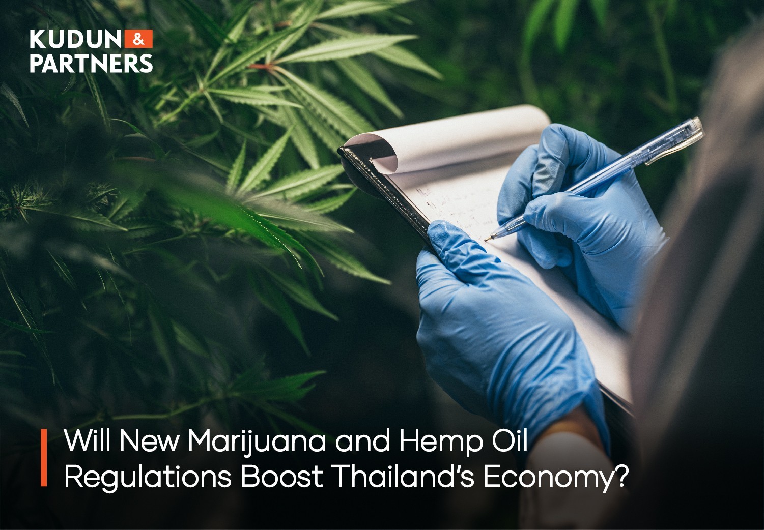 Will New Marijuana and Hemp Oil Regulations Boost Thailand’s Economy?