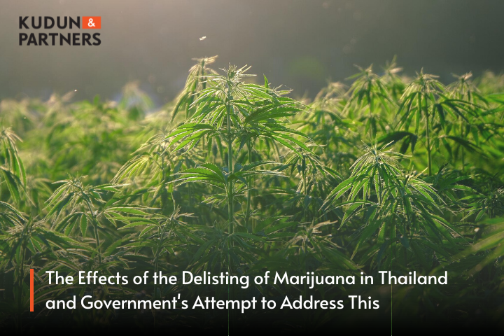 The Effects of the Delisting of Marijuana in Thailand and Government's Attempt to Address This